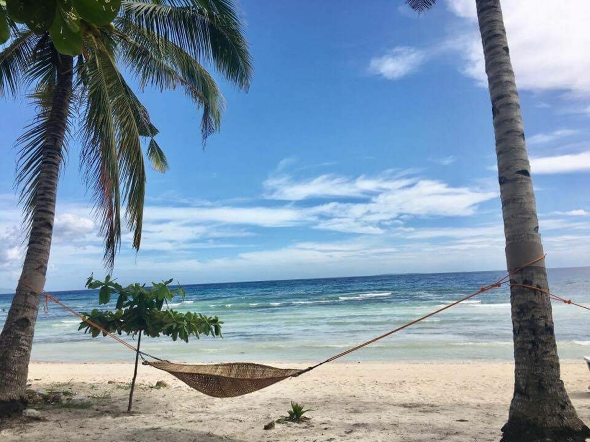 The Whitehouse By The Sea Villa Panglao Dış mekan fotoğraf
